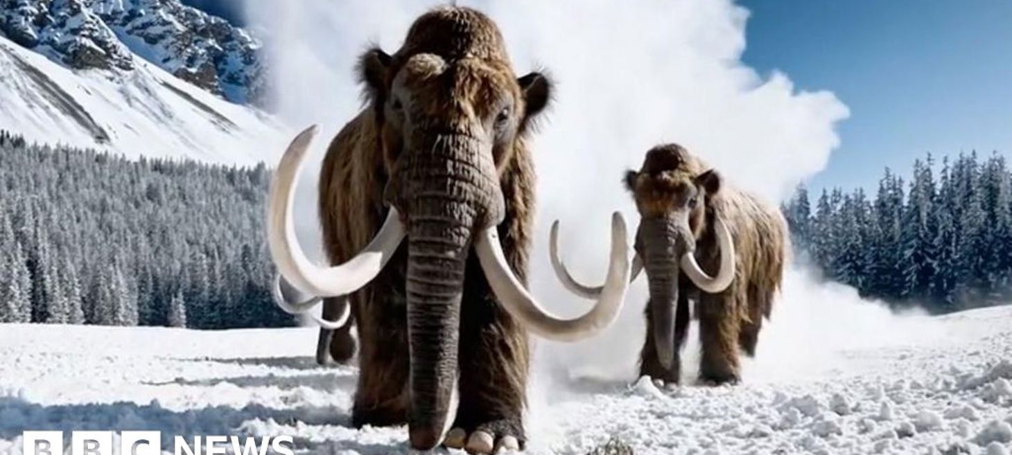 Sora: OpenAI closes AI video app and cancels $1bn Disney deal