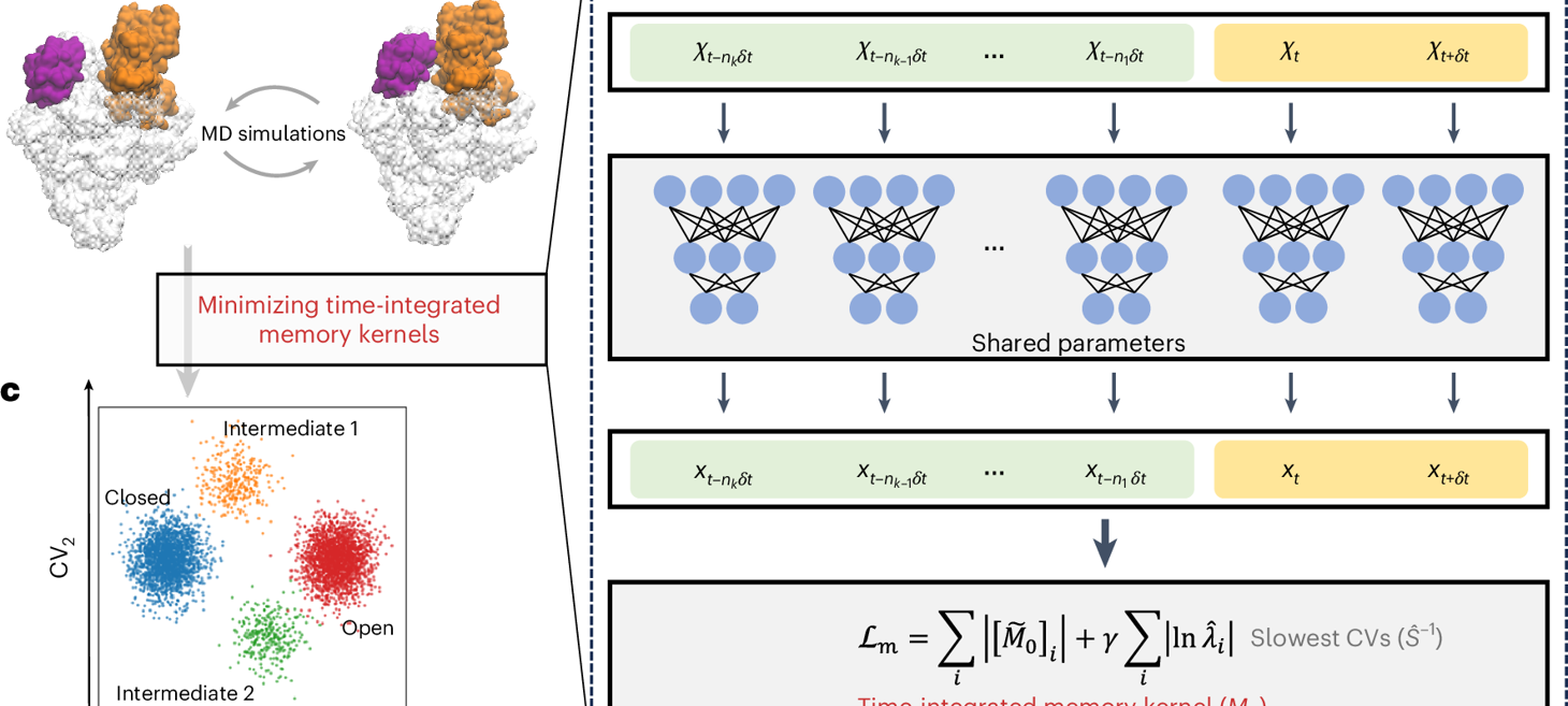 Memory kernel minimization-based neural networks for discovering slow collective variables of biomolecular dynamics